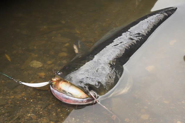 Copii la pescuit :) - img6707-01.jpg